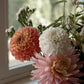 Dahlia Tubers (Set/3)