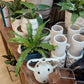 Cream Zaria Vase