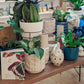 Cream Zaria Vase