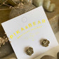 Alcott Bronze Rose Studs