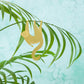 Plant Animals