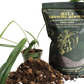 Aroid Blend - Potting Soil for Indoor Plants