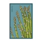 Asparagus Seed Packet