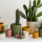 4" Beam Pot - Cream