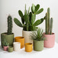 Beam Pot - Cream