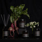 Beetroot 8oz Candle