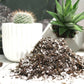 Cactus Blend - Potting Soil for Indoor Plants