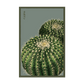 Cactus Seed Packet