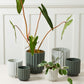 4" Carmen Pot - Dark Green