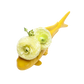 Carp Bud Vase in Yellow