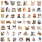 F+W Mystery Sticker Packs
