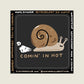 Comin' In Hot Vinyl Sticker