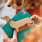 Standing Daschund Card