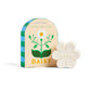 Skandi Blooms - Daisy Soap