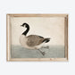 Vintage Goose 5x7" Print