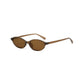 Havana Sunglasses