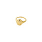 Here Adjustable Signet Ring