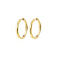 Inner Hoop Earrings