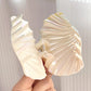 Iridescent Shell Hair Claws