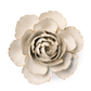 Ceramic Flower - Ivory English Rose