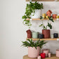 Kendall Pot - Green