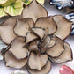 Ceramic Flower - Latte Dahlia