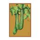 Luffa Sponge Seed Packet