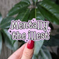 Mentally the Illest Sticker