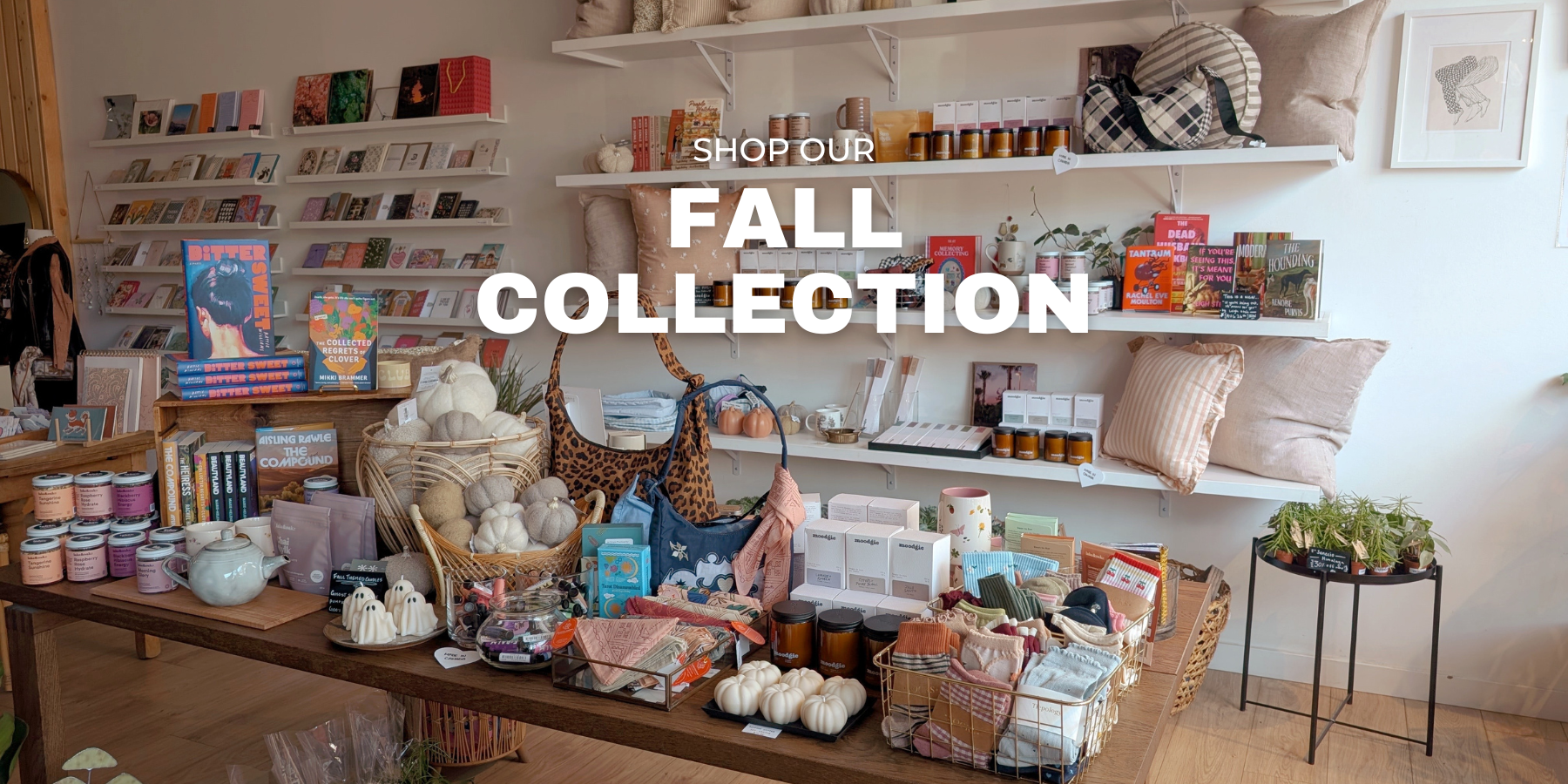 files/Mobile_Banner_4f236c8c-7f66-4792-86b7-168d3d39781e.png