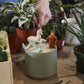 Mythical Creatures Plant Stake