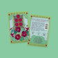 Tarot Seed Pack - Black Velvet Nasturtium