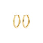 Nova Hoop Earrings
