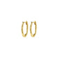 Now Hoop Earrings