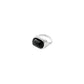 Now Signet Ring