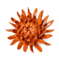 Ceramic Flower - Orange Mum