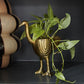 Ostrich Pot