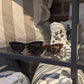 Acapulco Sunglasses