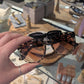 Hamptons Sunglasses