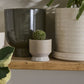 Pasadena Pot - Grey