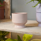 Pasadena Pot - Pink