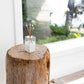 Everlasting Candle Pebble Vase