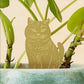 Plant Animals