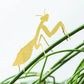 Plant Animals