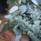 Holiday Wreath Workshop - November 22nd