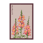 Snapdragon Seed Packet