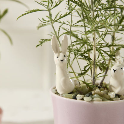 Thumper Plant Stake