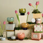 Tulip Glass Vessel Candles
