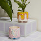 5" Wild Tails Pot