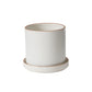 5" Author Pot