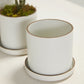 5" Author Pot
